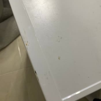 Beko Bulaşık Makinesi Sigorta Sorunu Ve Servis Mağduriyeti