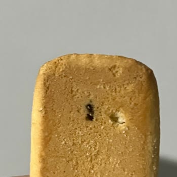 Bebe Bisküvisinde Şok Edici Keşif