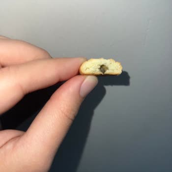 Bebe Bisküvisinde Şok Edici Keşif