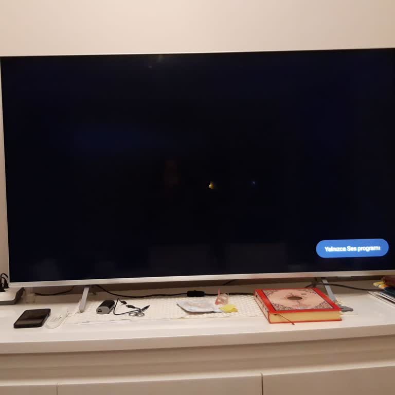 Philips TV'de Aniden Görüntü Sorunu