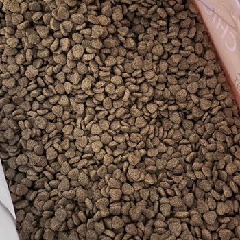 Kediler İçin Uygun Olmayan Eco Love Mama Ve Yetersiz Müşteri Hizmeti