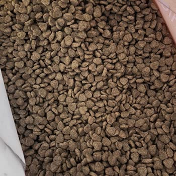 Kediler İçin Uygun Olmayan Eco Love Mama Ve Yetersiz Müşteri Hizmeti