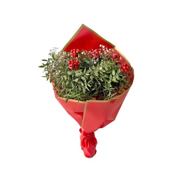 Yanıltıcı Kokina Siparişi Ve İade Sorunu