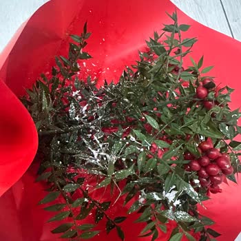 Yanıltıcı Kokina Siparişi Ve İade Sorunu