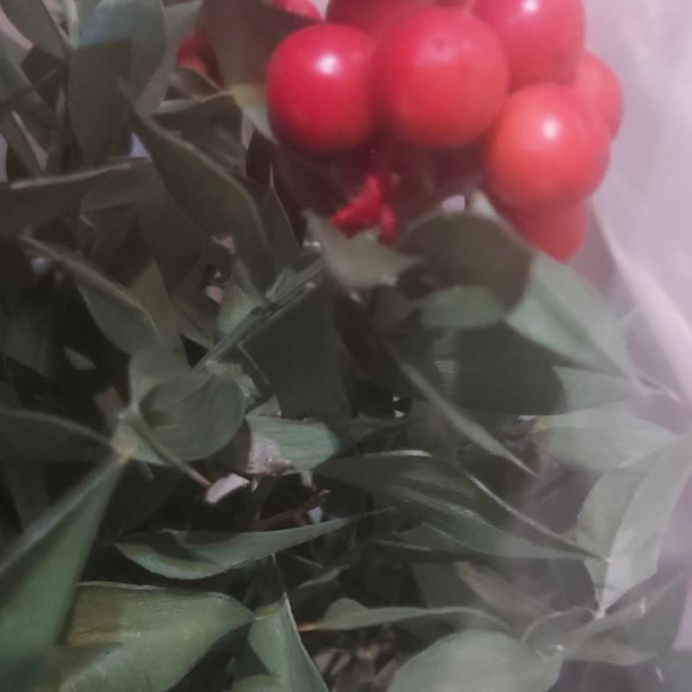 Migros Jet'te Kusurlu Ürün İadesi Sorunu