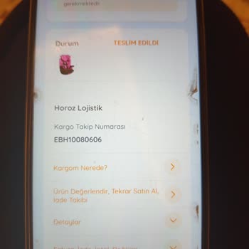 Kayıp Kargo: Yanlış Teslimat Krizi
