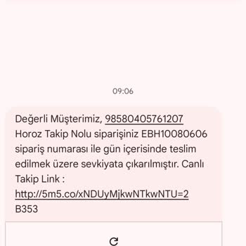 Kayıp Kargo: Yanlış Teslimat Krizi