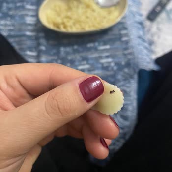 BİM'den Aldığım Makarnada Böcek Şoku