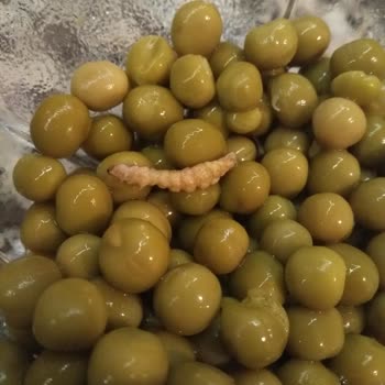 BİM'den Aldığım Bezelye Konservesinden Kurt Çıktı: Sağlık Güvencesi Endişesi