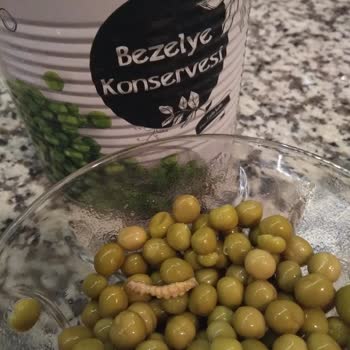 BİM'den Aldığım Bezelye Konservesinden Kurt Çıktı: Sağlık Güvencesi Endişesi