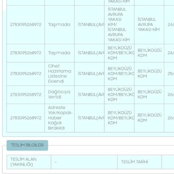PTT Kargo'nun Sürekli Tekrarlayan Teslimat Sorunları