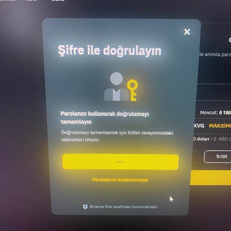 Binance Global'den Binance TR'ye Transfer Sorunu