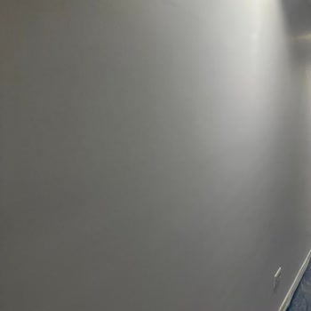 Filli Boya'nın Renk Yanılsaması: Gri Mi, Mavi Mi?