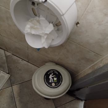 Hijyen Sorunları Ve Bakımsızlık