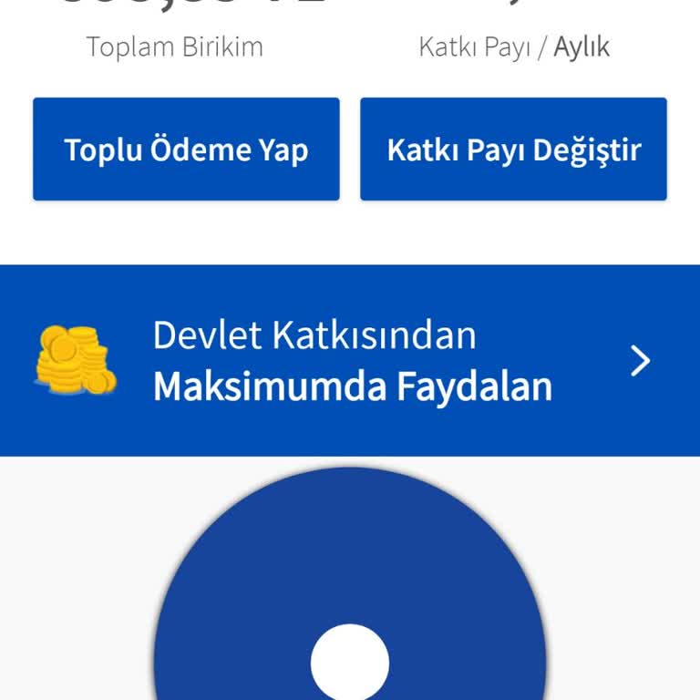 Bireysel Emeklilikte Param Buhar Oldu!