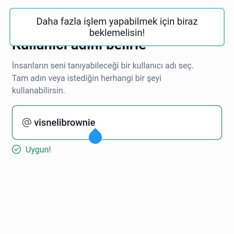 Uygulama Erişim Sorunu Ve Haksız Engelleme