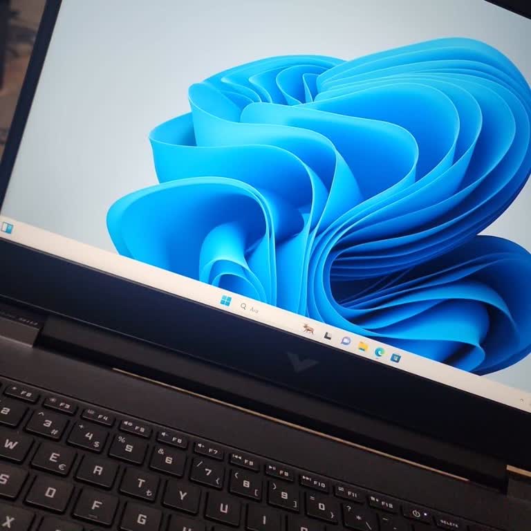 HP Victus Laptop SSD Değişimi Ve Garanti Endişesi