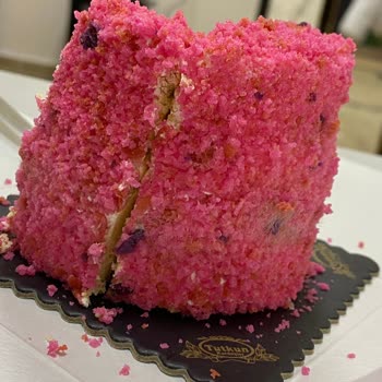 Küflü Pasta Ve Ulaşılamayan Destek Hattı