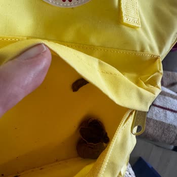 Migros'tan Aldığım Çantada Şaşırtıcı Sorunlar