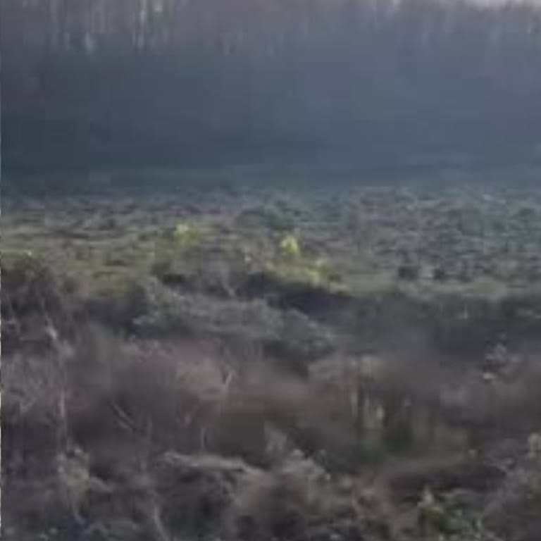 Anonim Şikayet Güvencesi Hakkında Endişe