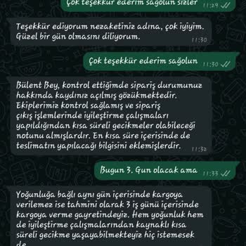 Dyson Siparişi: Geciken Teslimat Ve Yetersiz Müşteri Hizmetleri