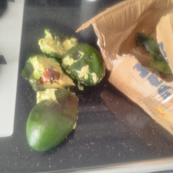 Ezilmiş Avokadolar Ve İlgisiz Müşteri Hizmetleri
