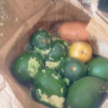 Ezilmiş Avokadolar Ve İlgisiz Müşteri Hizmetleri