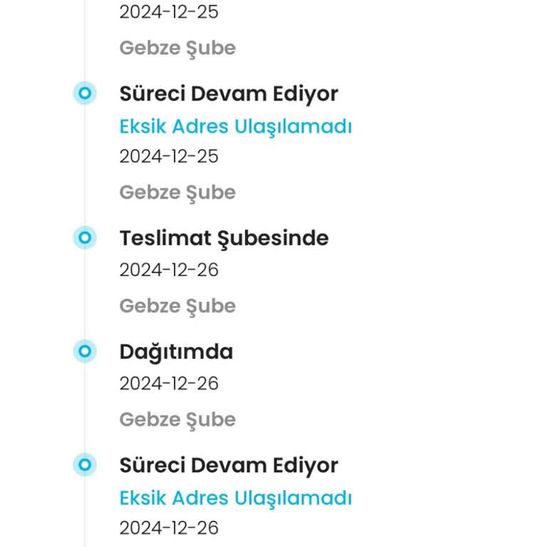 Kargo Teslimatı Neden Gecikiyor?
