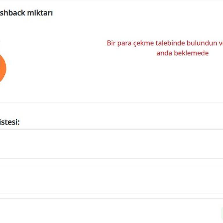 Cashback Ödemesi Hesabıma Ulaşmıyor: İletişim Sorunu Ve Tamamlanmamış Ödeme Kaydı