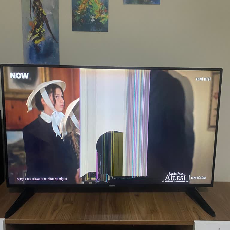 Vestel TV Panel Değişiminde Yüksek Fiyat Talebi