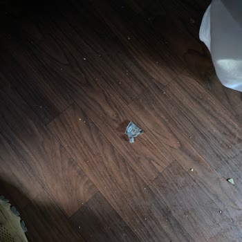Antalya Net Otobüsünde Gecikme Ve Temizlik Sorunu