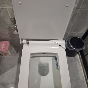 Silva Klozet Fren Sistemi Sorunu