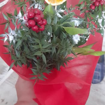 Çiçek Siparişim Beklentilerimi Karşılamadı!