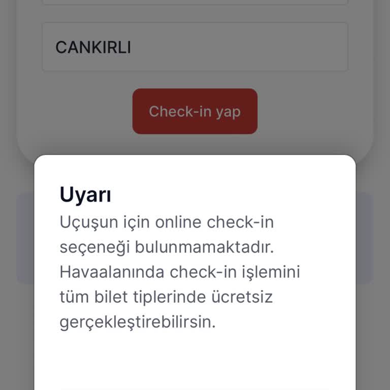 Online Check-in Sorunu Ve Ek Ücret Talebi