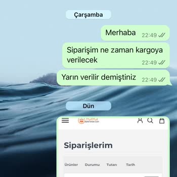 Kedi Maması Siparişim Neden Hala Kargoya Verilmedi?