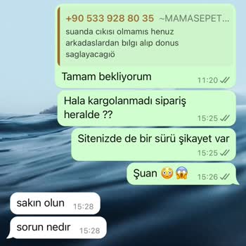Kedi Maması Siparişim Neden Hala Kargoya Verilmedi?
