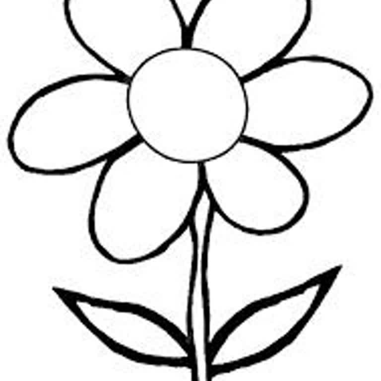 Adidas Ayakkabının Dayanıklılığı Ve Garanti Sorunu