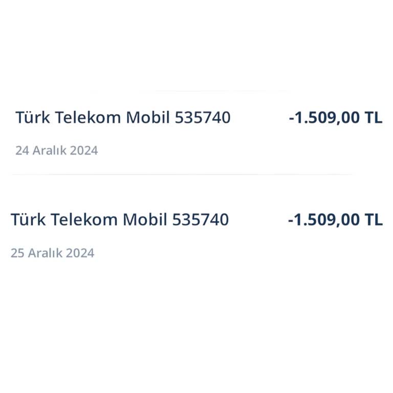 Çifte Otomatik Ödeme Sorunu: İade Talebi