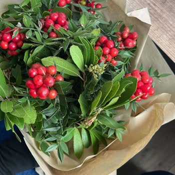 Taze Çiçek | Tazecicek.com Görsel Ve Gerçek Arasında Uçurum