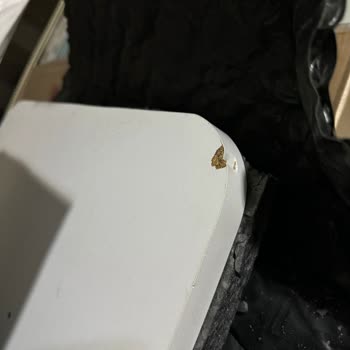 Ceva Logistics Yanlış Teslimat Ve Hasarlı Ürün Kabusu