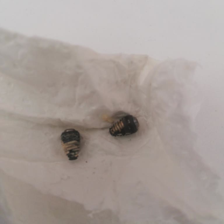 Diş Kliniğinde Yaşanan Hayal Kırıklığı Ve Sağlık Sorunları