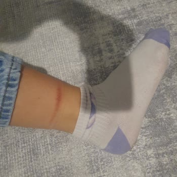 Harley Davidson Botlar: Kalite Beklentisini Karşılamayan Deneyim