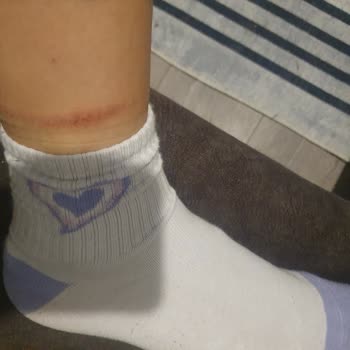 Harley Davidson Botlar: Kalite Beklentisini Karşılamayan Deneyim