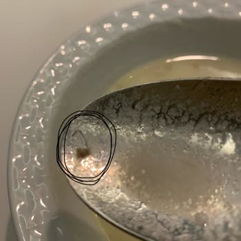 Kelle Paça Çorbasında Hijyen Skandalı