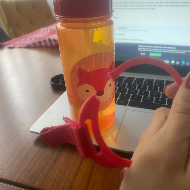 Yedek Parça Temin Edilemiyor: Skip Hop Su Matarası