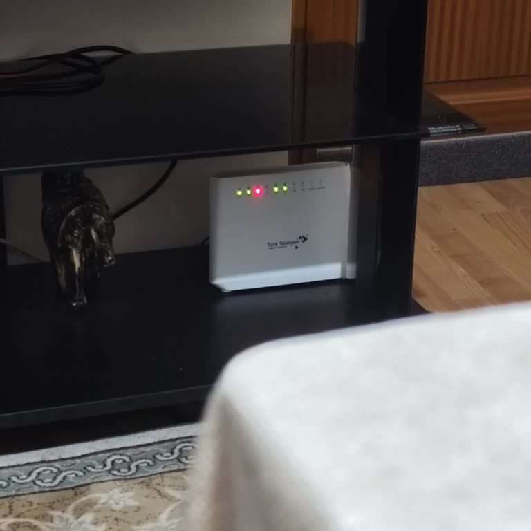 Sürekli Kesilen İnternet Bağlantısı Sorunu
