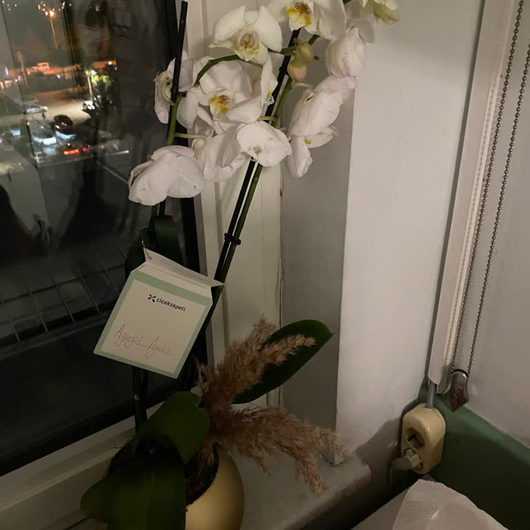 Çiçek Sepeti'nden Gelen Hayal Kırıklığı