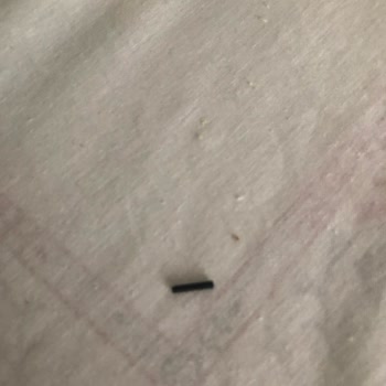 Karaca'dan Gelen Hayal Kırıklığı: Kırık Ürün Ve İlgisizlik