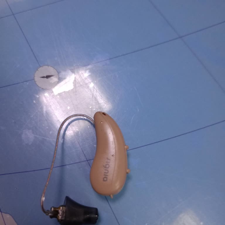 Signia İşitme Cihazları Püre 312ax Şikayeti