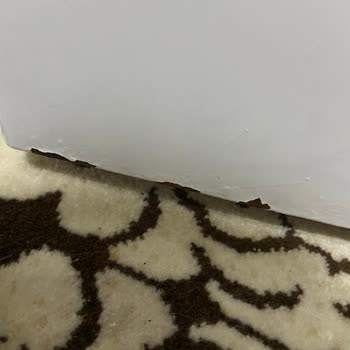 Vestel Buzdolabında Boya Sorunu